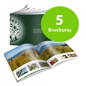 Brochures (5 Pack)